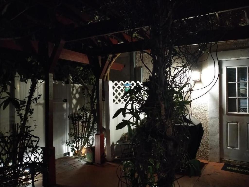 Tampa Bay Beautiful Apartment And Private Jacuzzi Buitenkant foto