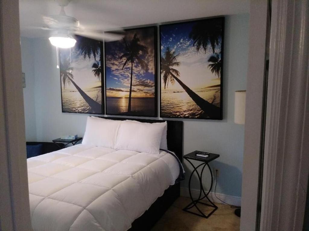 Tampa Bay Beautiful Apartment And Private Jacuzzi Buitenkant foto